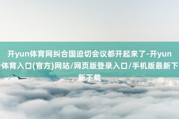 开yun体育网纠合国迫切会议都开起来了-开yun云体育入口(官方)网站/网页版登录入口/手机版最新下载