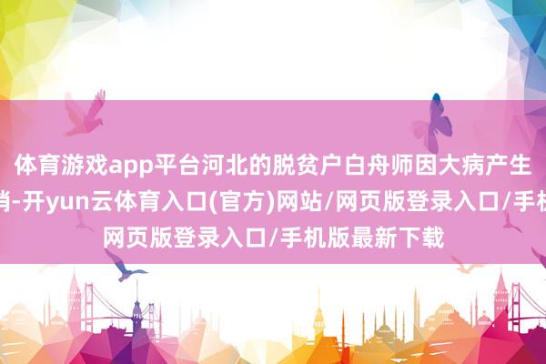体育游戏app平台河北的脱贫户白舟师因大病产生大额医疗开销-开yun云体育入口(官方)网站/网页版登录入口/手机版最新下载