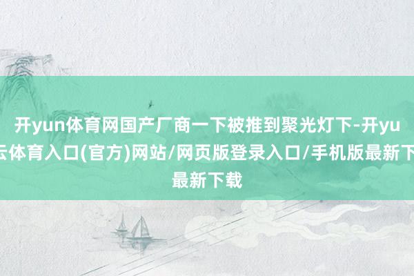 开yun体育网国产厂商一下被推到聚光灯下-开yun云体育入口(官方)网站/网页版登录入口/手机版最新下载